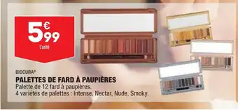 Palettes de Fard à Paupières