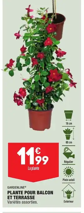Plante Pour Balcon