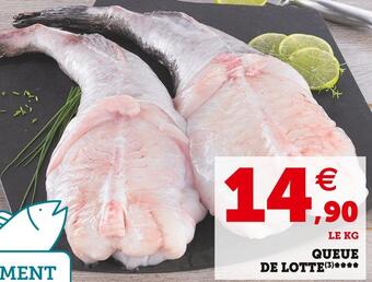 Super U Queue de lotte offre