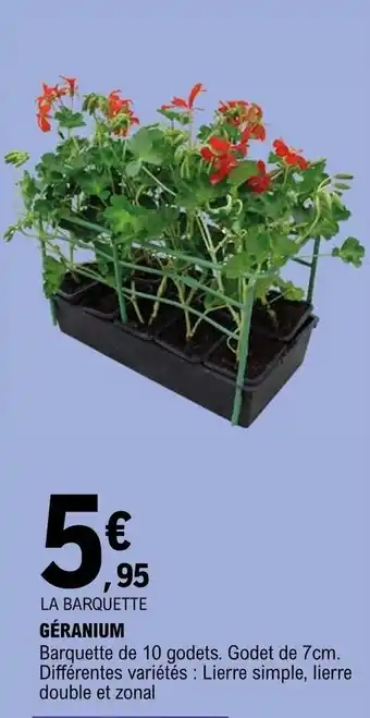 E.Leclerc Géranium offre