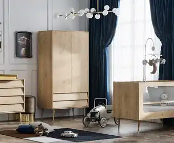Orchestra CHAMBRE BOSQUE offre