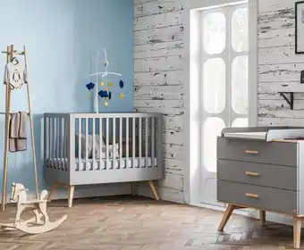 Orchestra CHAMBRE NAUTIS GRIS & BOIS offre
