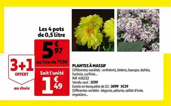 Auchan Plantes à massif offre