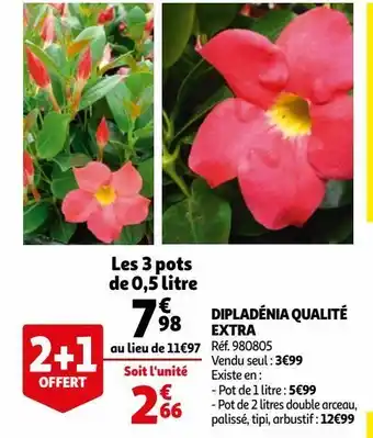 Auchan Dipladénia qualité extra offre