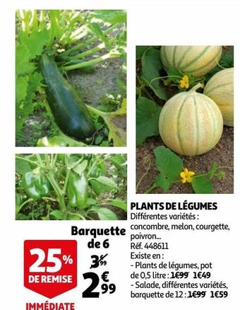 Auchan Plants de légumes offre