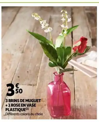 Auchan Supermarché 3 brins de muget + 1 rose en vase plastique offre