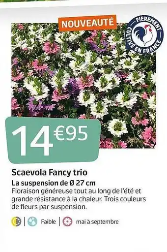 Jardiland Scaevola Fancy Trio offre
