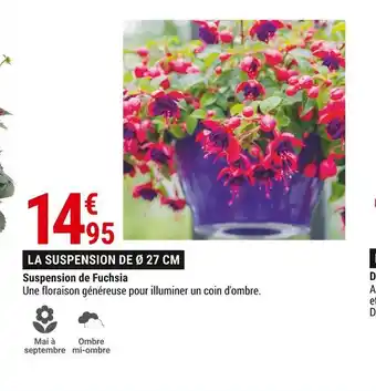 Gamm vert Suspension de fuchsia offre