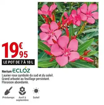 Gamm vert Ecloz nerium offre