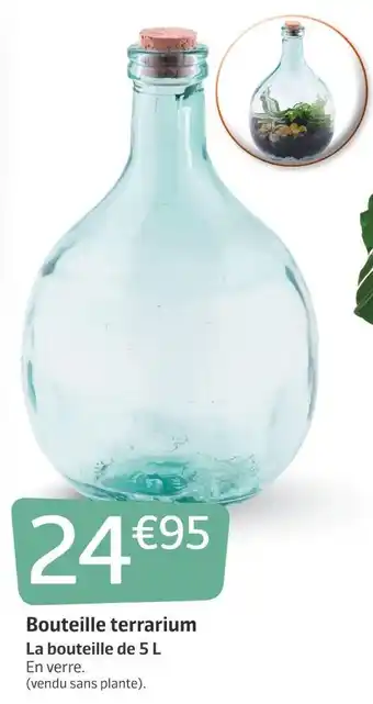 Jardiland Bouteille terrarium offre
