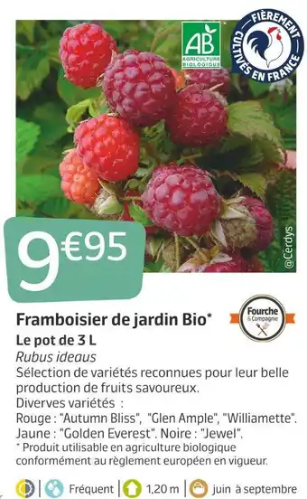 Jardiland Framboisier de jardin bio offre