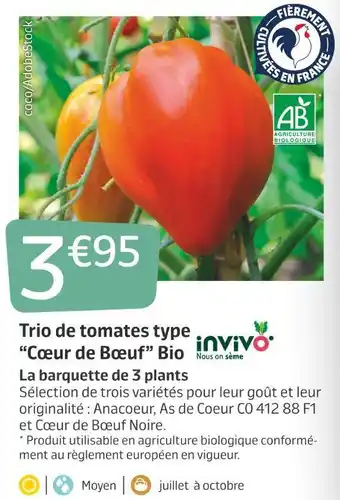 Jardiland Invivo nous on sème trio de tomates type “cœur de bœuf” bio offre