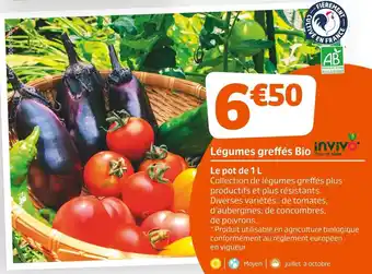 Jardiland Invivo nous on sème légumes greffés bio offre
