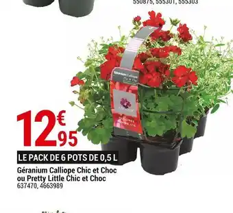 Gamm vert Géranium calliope chic et choc ou pretty little chic et choc offre
