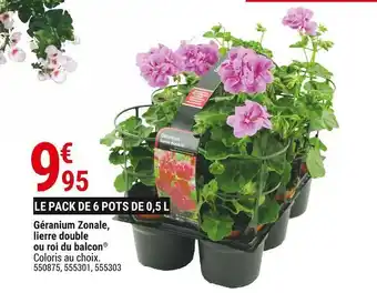 Gamm vert Géranium zonale, lierre double ou roi du balcon offre