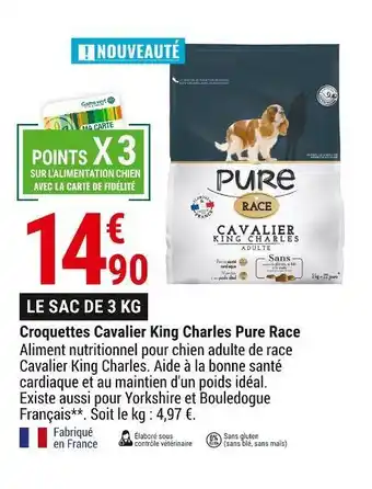 Pure race croquettes cavalier king charles