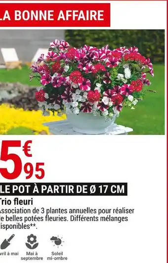 Gamm vert Trio fleuri offre
