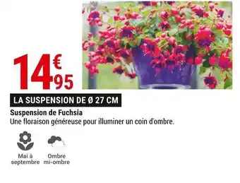 Gamm vert Suspension de fuchsia offre