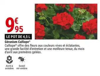 Gamm vert Géranium calliope offre
