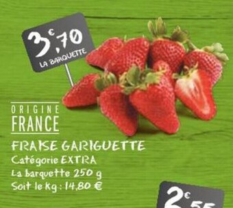 G20 Fraise gariguette offre