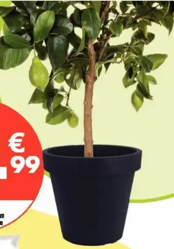 La Foir'Fouille Pot de fleur offre