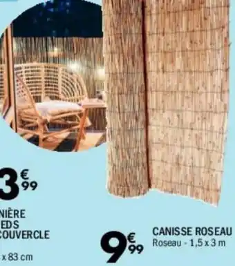 La Foir'Fouille Canisse roseau offre