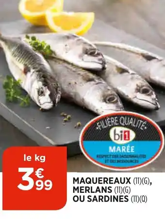 Bi1 Maquereaux merlans ou sardines offre