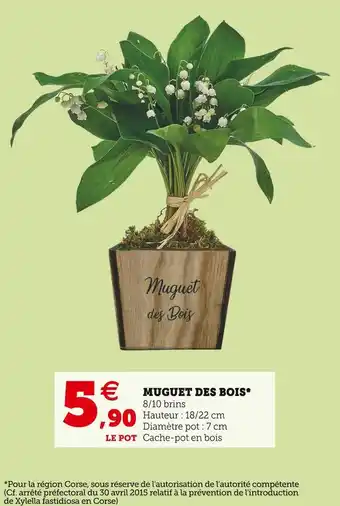 Super U Muguet des bois offre