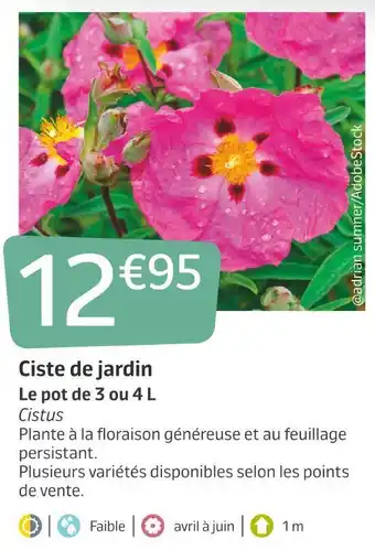 Jardiland Ciste de jardin offre