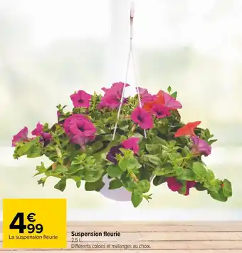 Carrefour Suspension fleurie offre