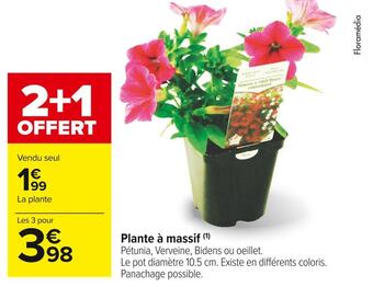 Carrefour Market Plante à massif offre