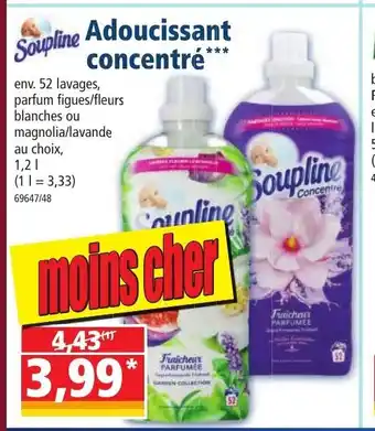 Norma Adoucissant Concentré offre