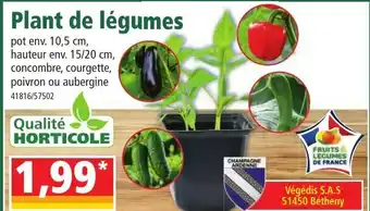 Norma Plant de Légumes offre