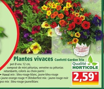 Norma Plantes Vivaces offre