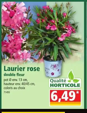 Norma Laurier Rose offre