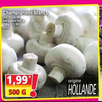 Norma Champignons blancs offre