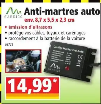 Norma Anti-martres auto offre