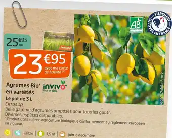 Jardiland Invivo nous on sème agrumes bio en variétés offre