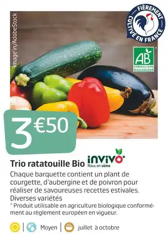 Jardiland Invivo nous on sème trio ratatouille bio offre