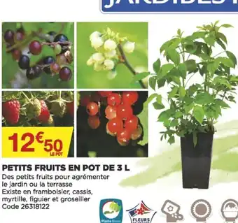 Bricomarché Petits fruits en pot de 3 L offre