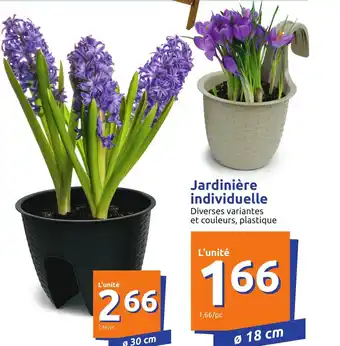 Jardinière individuelle