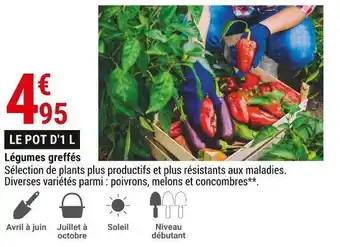 Gamm vert Légumes greffés offre