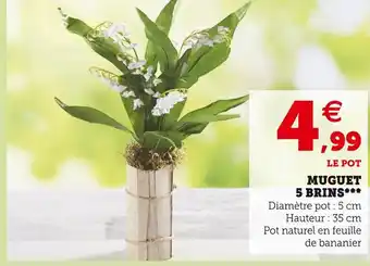 U Express Muguet 5 brins offre