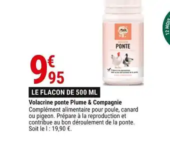 Gamm vert Plume & compagnie volacrine ponte offre