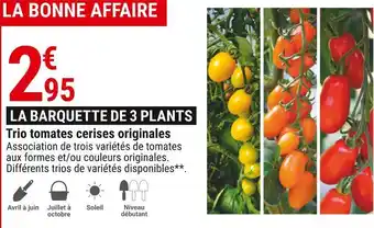 Gamm vert Trio tomates cerises originales offre