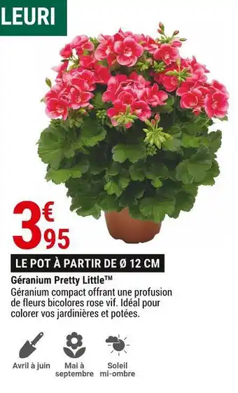 Gamm vert Géranium pretty littletm offre