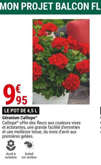 Gamm vert Géranium calliope offre