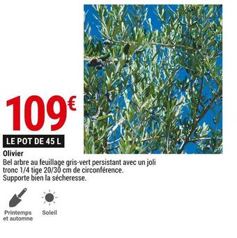 Gamm vert Olivier offre