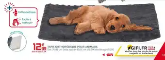 Gifi Tapis Orthopédique Pour Animaux offre