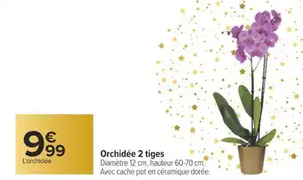 Carrefour Orchidée 2 tiges offre
